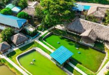 La Chivería presenta su irresistible menú navideño para empresas