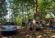 Medio Ambiente respalda reclamo para frenar tránsito de vehículos en Playa Encuentro