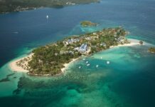 Cayo Levantado alberga el primer arboreto acreditado de la República Dominicana de la mano de la Fundación Eco-Bahia